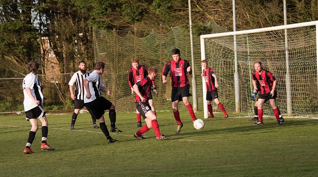 中场核心若 中场核心若