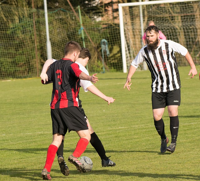 的重要驱动 的重要驱动