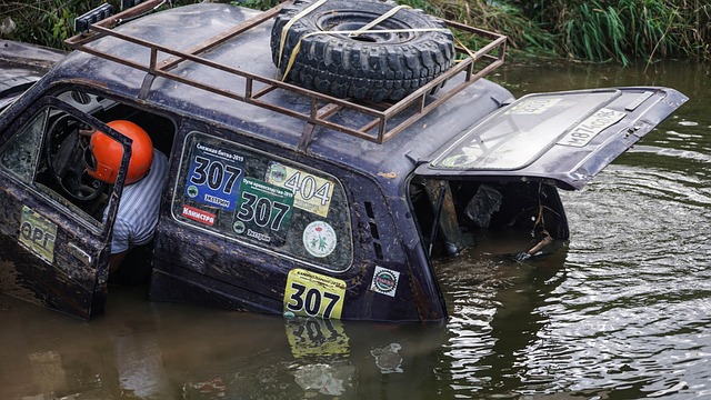 高水平的对 高水平的对