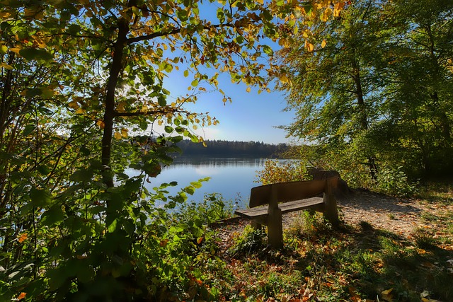 与汪小菲之 与汪小菲之