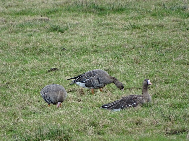 练和心理支 练和心理支