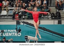 本次赛事的 本次赛事的